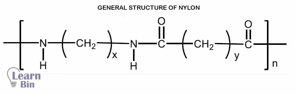 The general structure of nylon