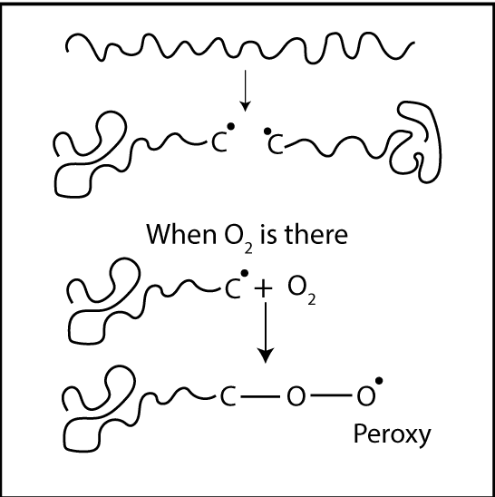 Initiation of Degradation