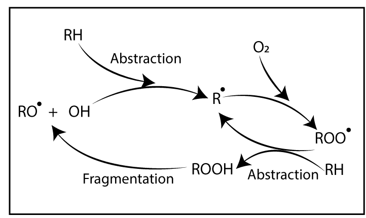 Oxidative degradation