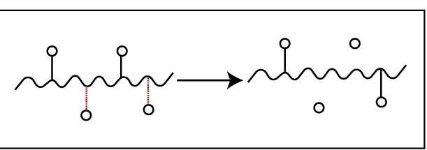 Side Chain Degradation