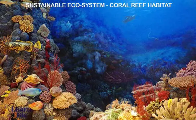 Sustainable eco system coral reef habitat