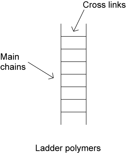 Ladder Polymers - INCREASING THE STABILITY OF POLYMERS