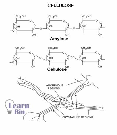 Cellulose