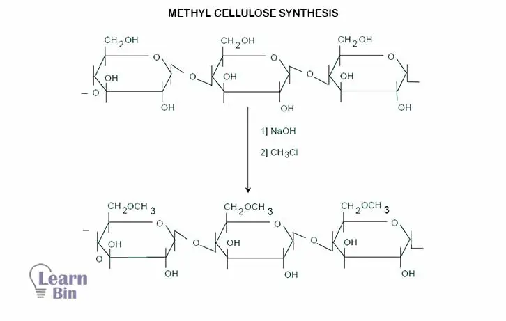 Methyl cellulose synthesis