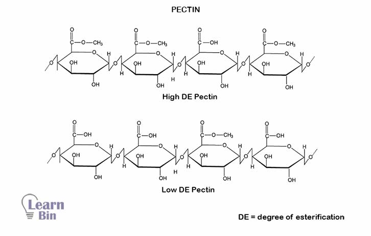 Pectin