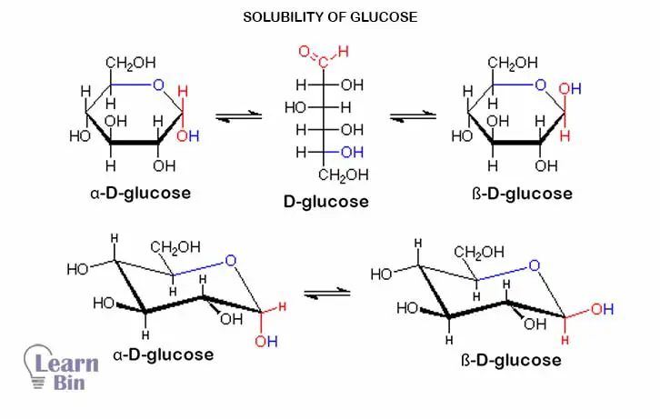 Solubility of Glucose