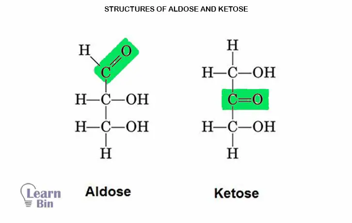 Structures of Aldose and Ketose