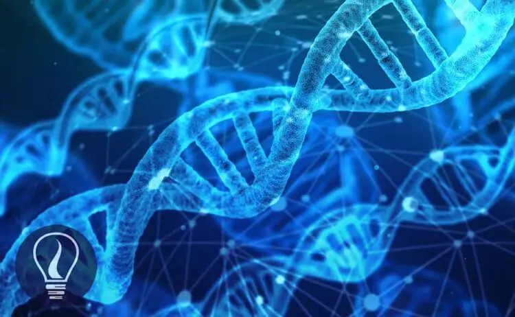 What is DNA - Basic Introduction to DNA