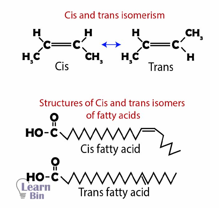 Structures of cis and trans isomers of fatty acids