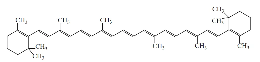 β-carotene molecule
