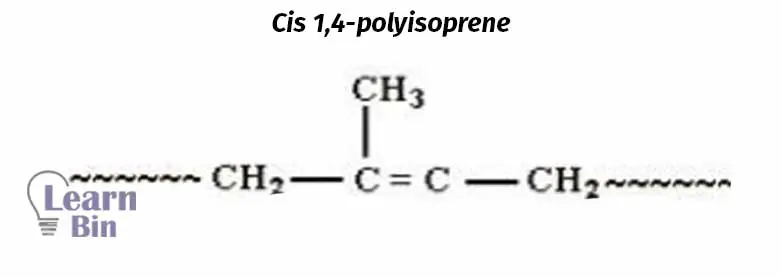 Cis 1,4-polyisoprene