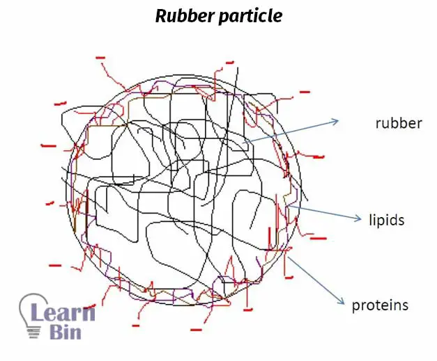 Rubber particle