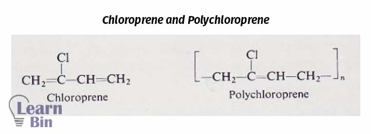 Chloroprene and Polychloroprene