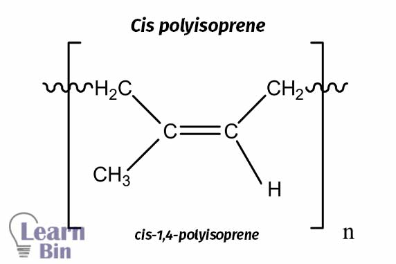 Cis polyisoprene