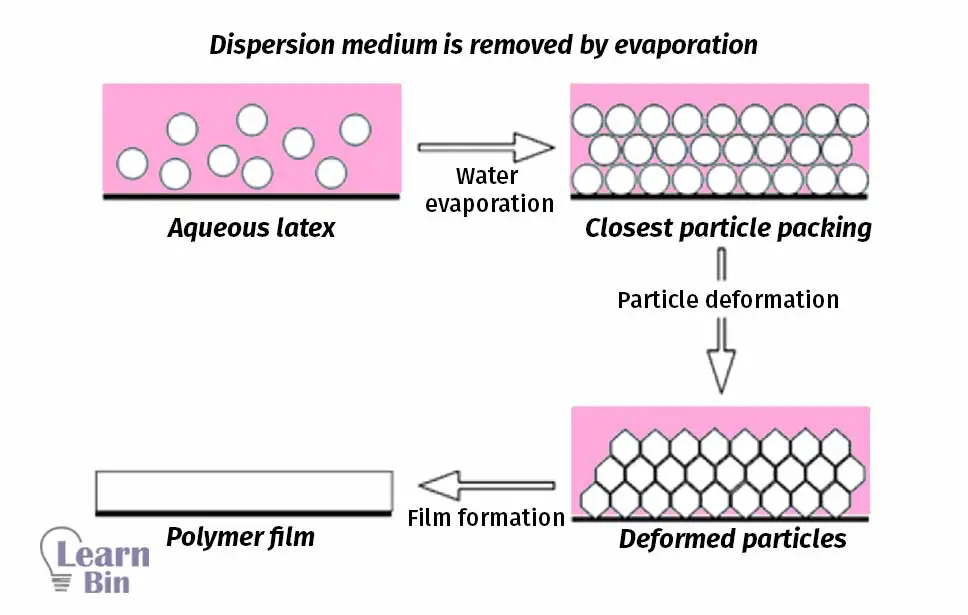 The dispersion medium is removed by evaporation
