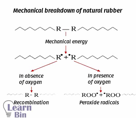 Mechanical breakdown of natural rubber