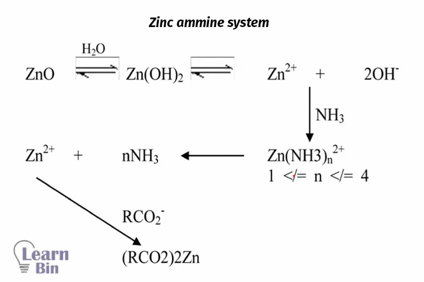 Zinc ammine system in heat sensitization of NRL in heat sensitization of NRL
