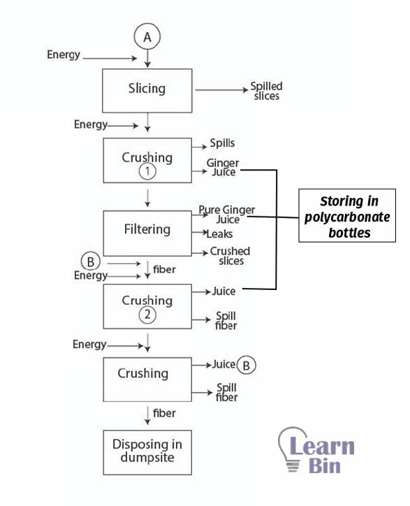 Ginger juice manufacturing factory production process