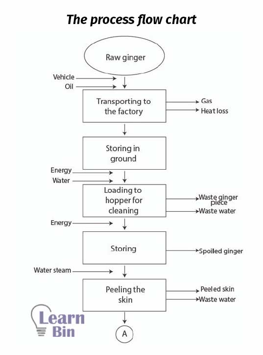 Ginger juice manufacturing factory production process