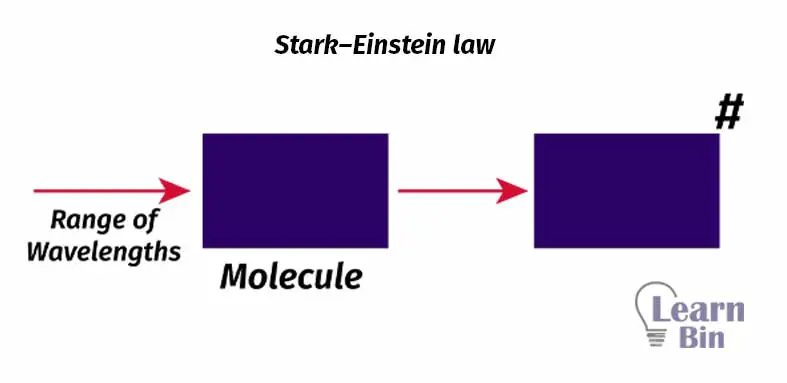 Stark–Einstein law