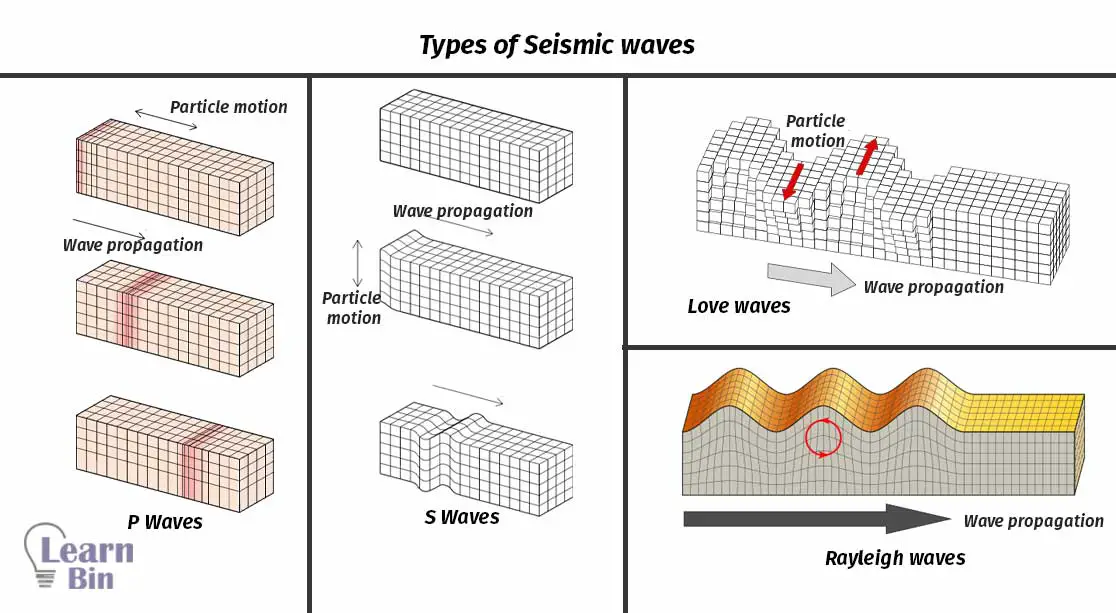 Types of Seismic waves