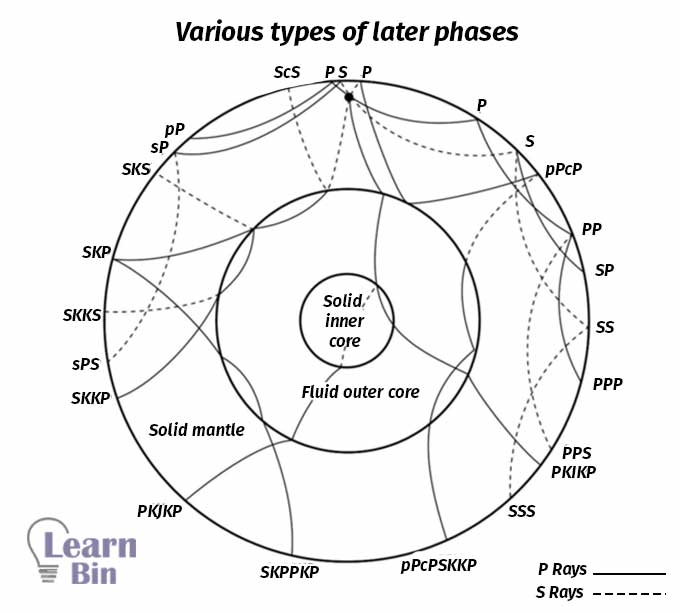 Various types of later phases