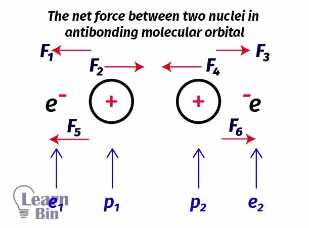 The net force between two nuclei in antibonding molecular orbital