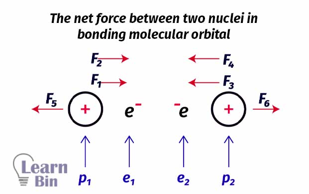 The net force between two nuclei in bonding molecular orbital