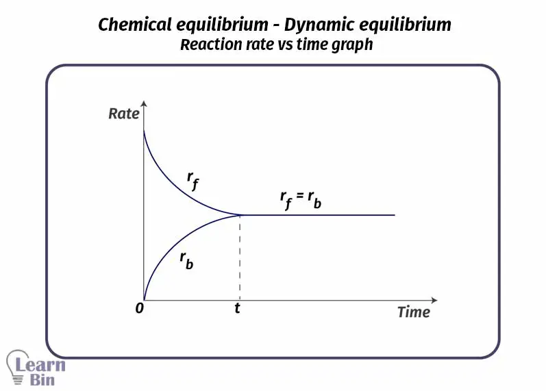 Chemical equilibrium - Dynamic equilibrium - Reaction rate vs time graph