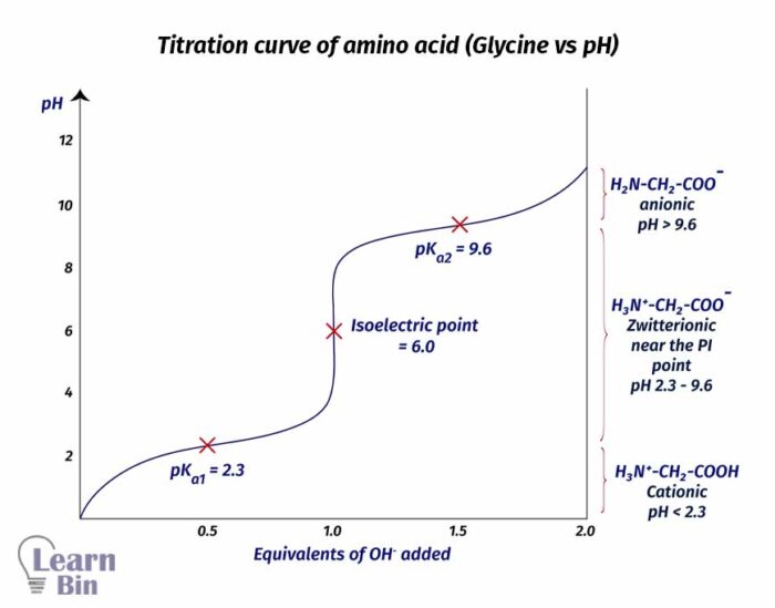 Physiochemical Properties Of Amino Acids Learnbin