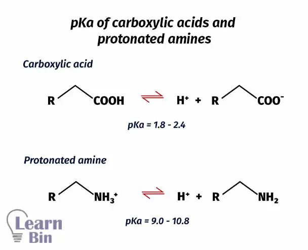 pKa of carboxylic acids and protonated amines