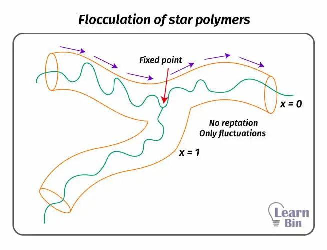Flocculation of star polymers
