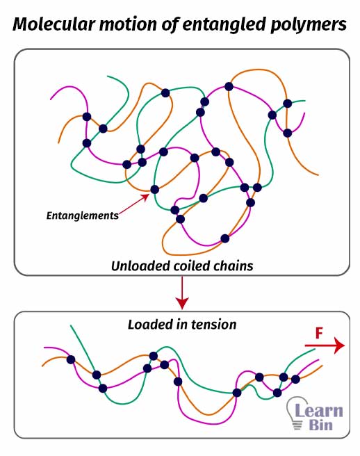 Molecular motion of entangled polymers