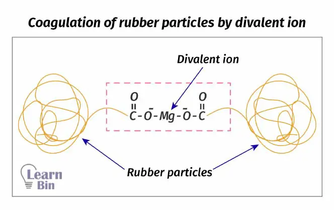 Coagulation of rubber particles by divalent ion