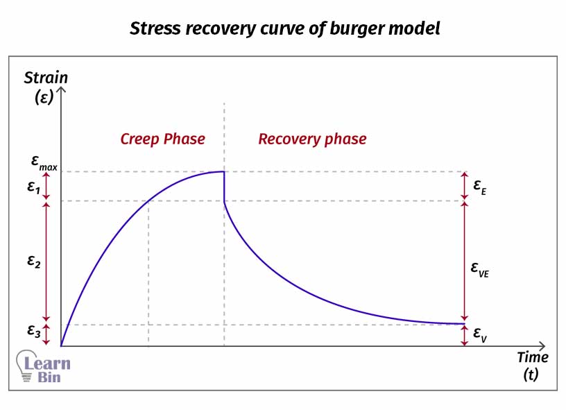 Stress recovery curve of the burger model