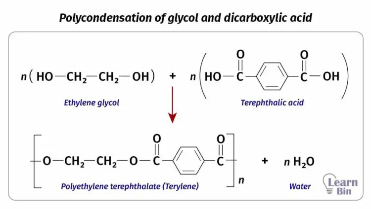 Polycondensation of glycol and dicarboxylic acid
