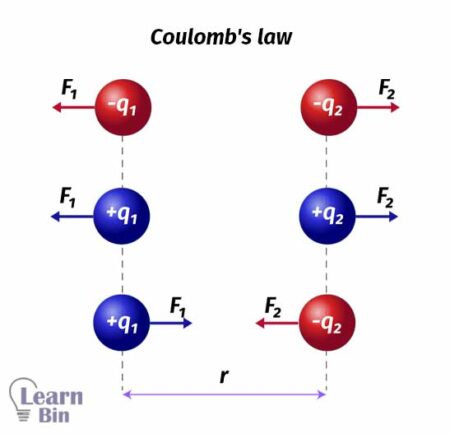 Coulomb's Law - With Examples | Learnbin