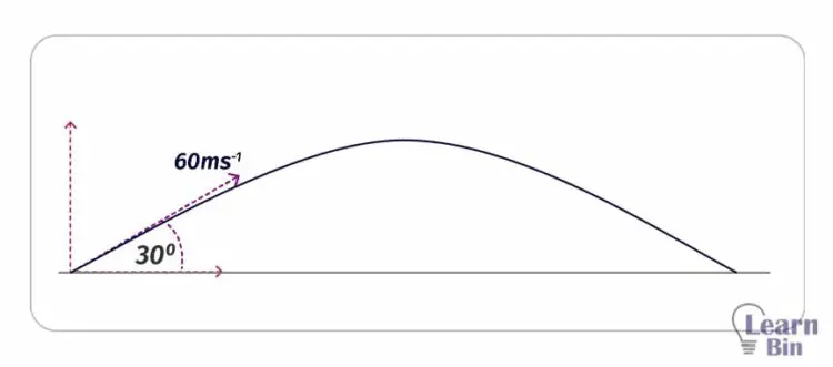 Projectile motion question fig