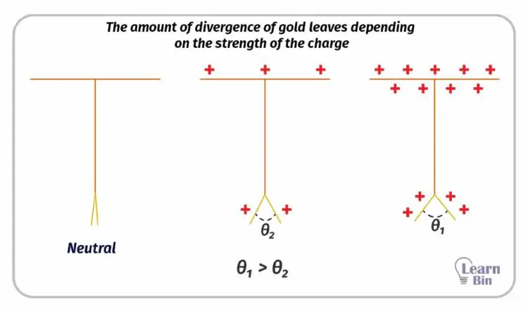 The amount of divergence of gold leaves depending on the strength of the charge