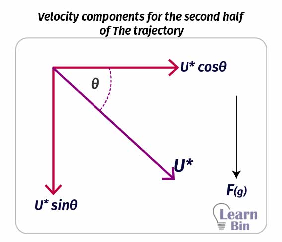 Velocity components for the second half of The trajectory