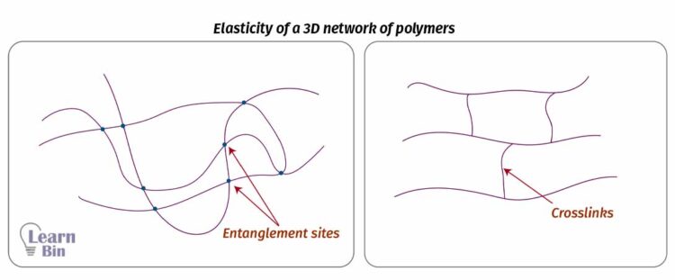Elasticity of a 3D network of polymers
