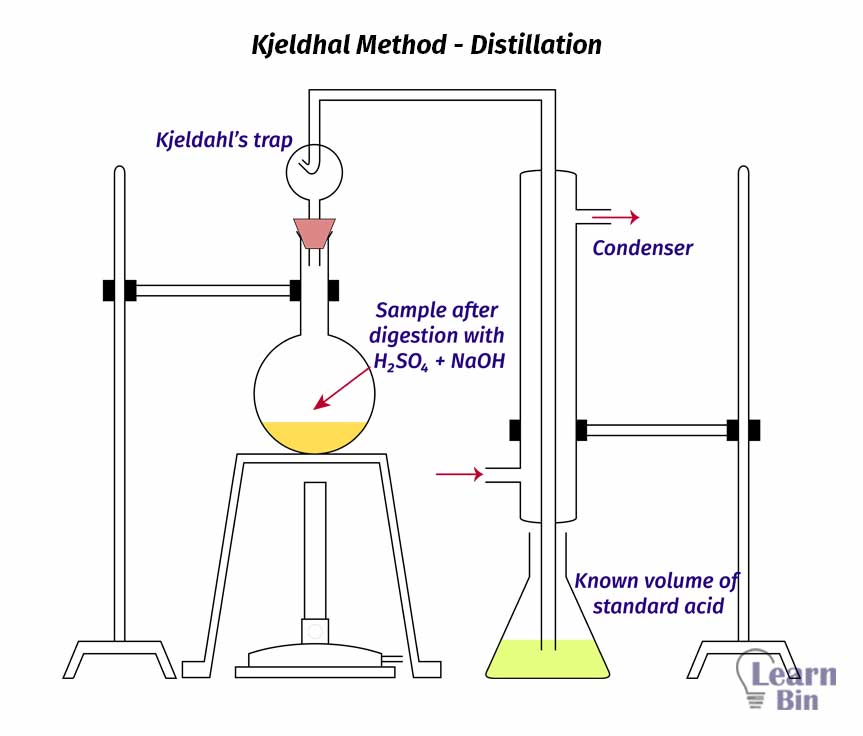 Kjeldhal Method A Method For Analyzing The Nitrogen Content Learnbin