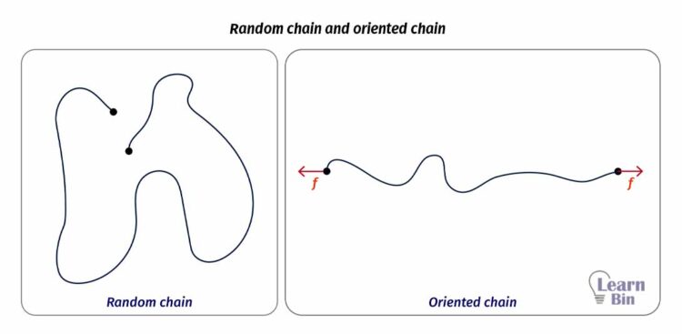 Random chain and oriented chain