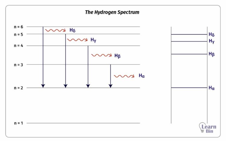 The Hydrogen Spectrum