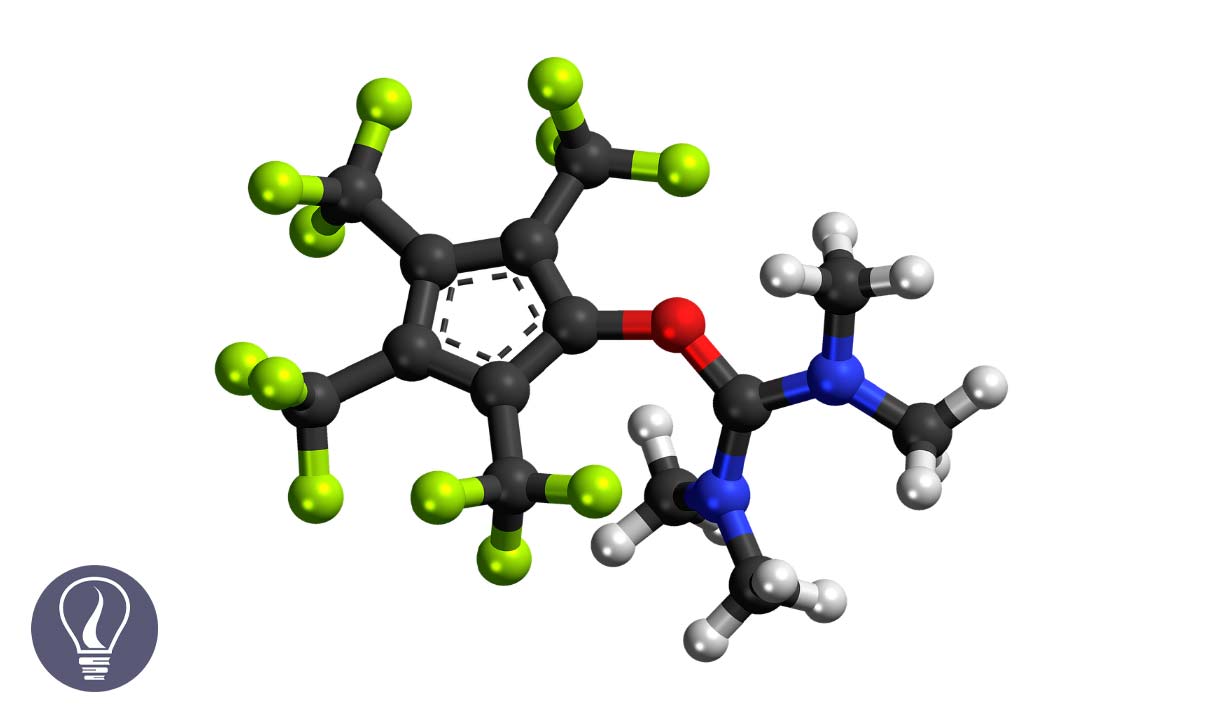 What are Organic Compounds - Introduction to Organic Chemistry