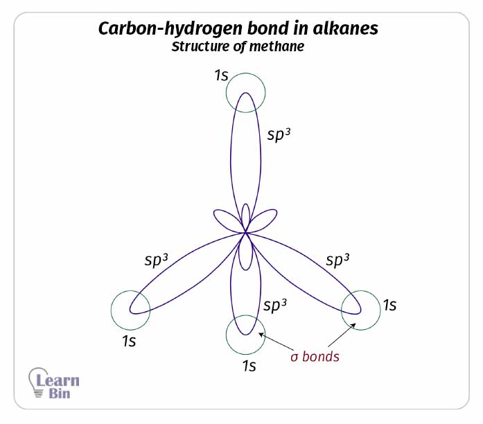 Carbon-hydrogen bond in alkanes -
Structure of methane