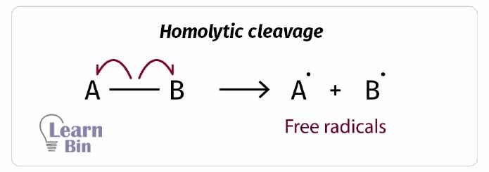 Homolytic cleavage