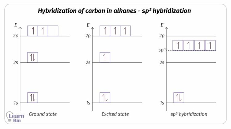 Hybridization of carbon in alkanes - sp3 hybridization energy diagram