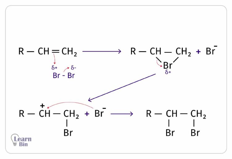 Reaction mechanism of bromination of alkenes