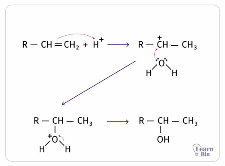Reaction mechanism of the addition of water